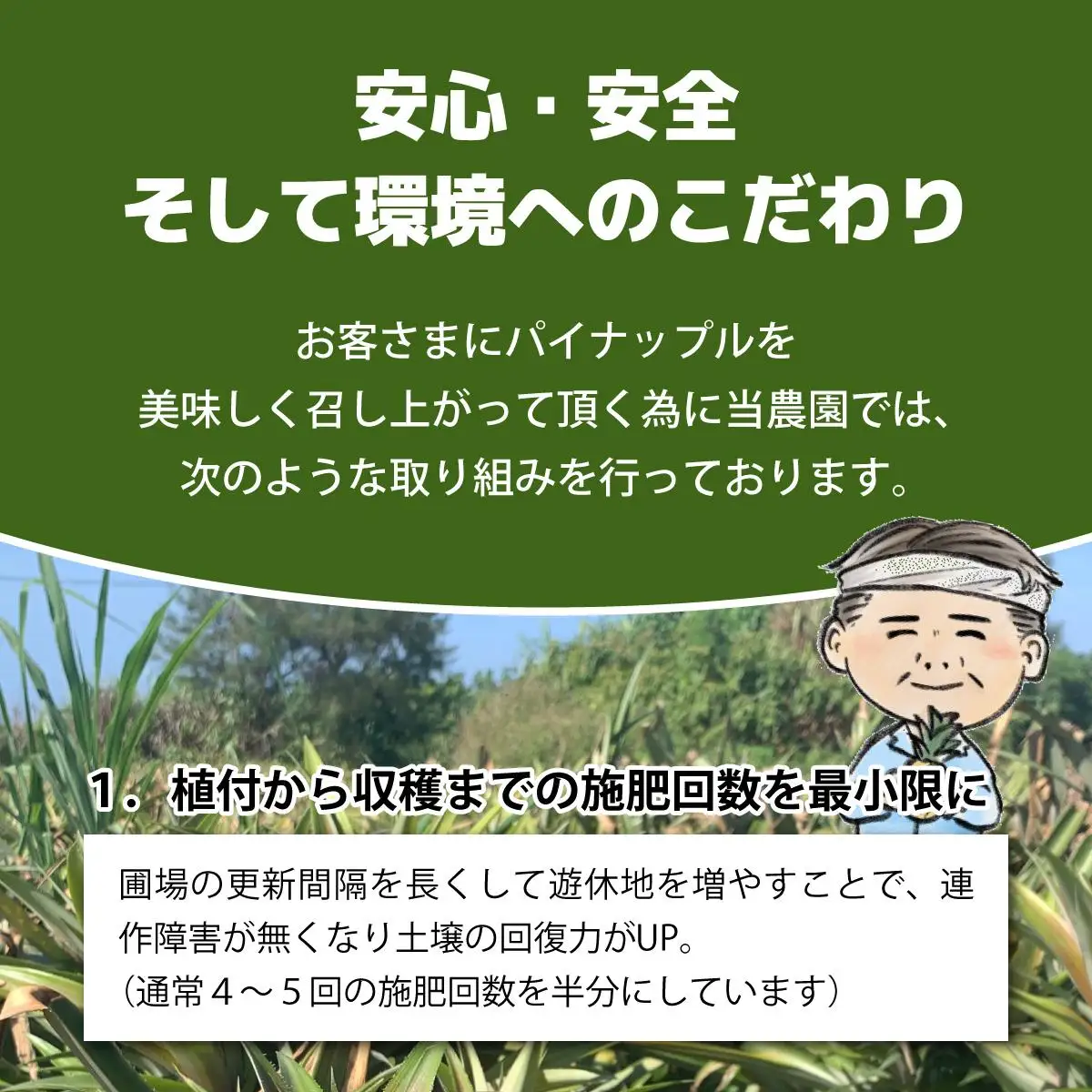 ゴールドバレルビッグな２玉セット
