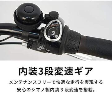 電動自転車【100％完成納品】PELTECH（ペルテック）後チャイルドシート付子供乗せ適用電動アシスト 自転車 20型内装3段 TDN-207LP-8 AH-CH【マットカーキ】