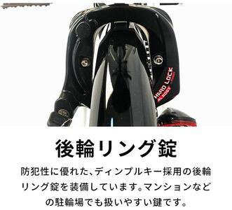電動自転車 PELTECH（ペルテック）ノーパンク 折り畳み電動アシスト自転車 20インチ 折り畳み外装6段変速（TDN-206LN）【簡易組立必要】【ホワイト】
