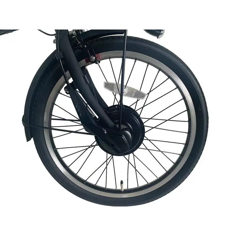 PELTECH ペルテック ノーパンク 折り畳み 電動アシスト自転車 20インチ 自転車 マットブラック