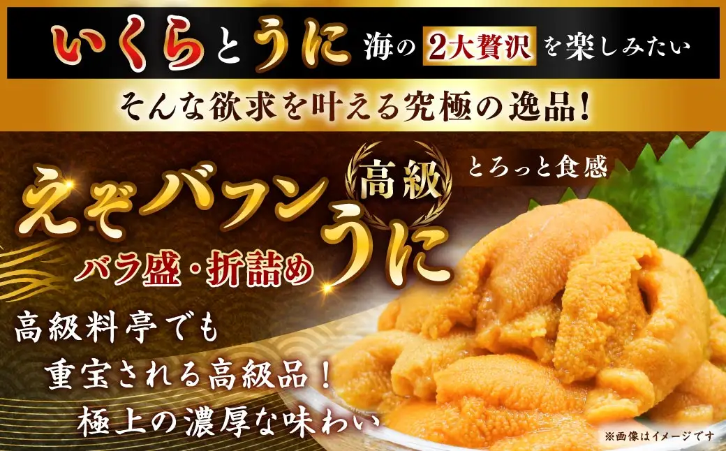 えぞバフンうに折60g×2 いくら醤油漬け90g×1 ふるさと納税 うに いくら F4F-8829
