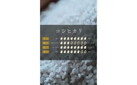 コシヒカリ　5kg×２袋　計10kg　令和7年産　会津　喜多方産【07208-0272】
