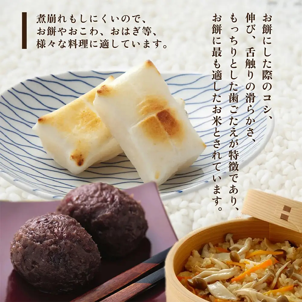 令和7年度産会津喜多方産こがねもち5kg×1袋　【07208-0351】