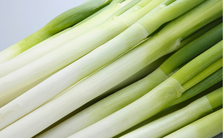 JA24 土付きねぎ 約3kg / 2026年11月上旬〜2027年2月上旬頃配送予定 // 長野県 南信州産 野菜 信州野菜 新鮮 長ネギ ネギ 長ねぎ 白ねぎ 白ネギ