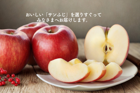 JA15 りんご サンふじ 約5kg / 2026年11月下旬～12月上旬ごろ配送予定 // 長野県 南信州 贈答 ギフト お歳暮 ふじ フジ さんふじ 新鮮 林檎 リンゴ サンフジ