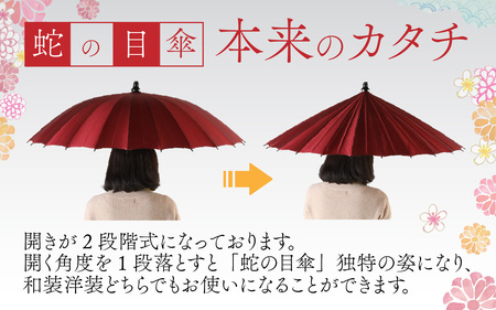 【白】蛇の目洋傘　雨傘(親骨55㎝) [K-035003_01]