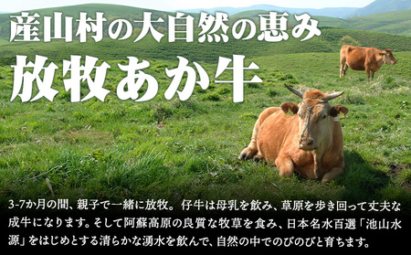 放牧 あか牛 ホルモン焼き 300g|焼肉正