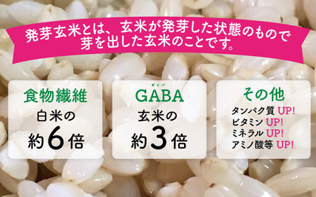 【令和7年産】発芽玄米 コシヒカリ「特選」特別栽培米使用 2kg×5袋（計10kg）【米 こしひかり 玄米 ギャバ GABA 特別栽培 食物繊維 栄養 真空パック ごはん ご飯 おいしい ふるさと納税米】 [E-2930]
