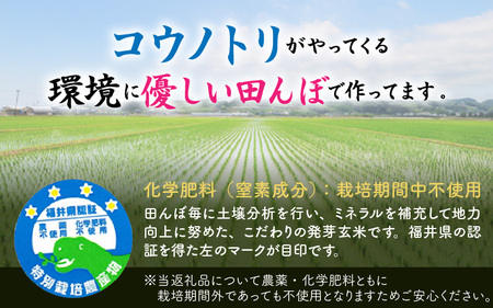 【令和7年産】発芽玄米 コシヒカリ「特選」特別栽培米使用 3kg×5袋（計15kg）【米 こしひかり 玄米 ギャバ GABA 特別栽培 食物繊維 栄養 真空パック ごはん ご飯 おいしい ふるさと納税米】 [H-2909]
