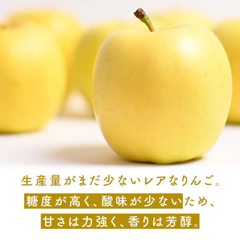 希少！ 青森県産りんご もりのかがやき 約5kg 10月上旬～ りんご