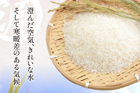 四万十川源流米 10kg [JA高知県高西営農経済センター津野山経済課 高知県 津野町 26ah0023]