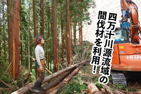 キャンプやアウトドアに「きこりのスウェーデントーチ」 1個( ヒノキ ) [津野町森林組合 高知県 津野町 26av0001]