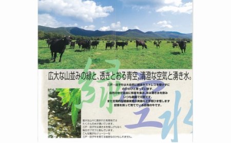 国産和牛 ウデ スライス 380g 黒毛和牛 「三戸・田子牛」
