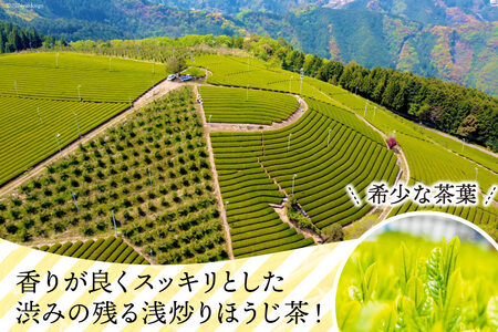 【ほうじ茶 4種セット】浅煎り ほうじ茶 と フレーバーティー (ほうじ茶) セット 各2g×5袋 計40g[大丸茶舗 高知県 津野町 26az0001]