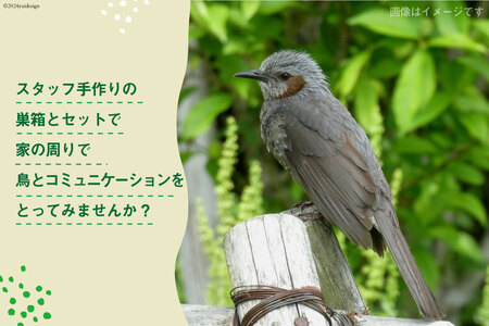とりの巣箱 と フォレストバード (1個) [有限会社谷脇工業(フォレストアドベンチャー高知) 高知県 津野町 26bc0007]