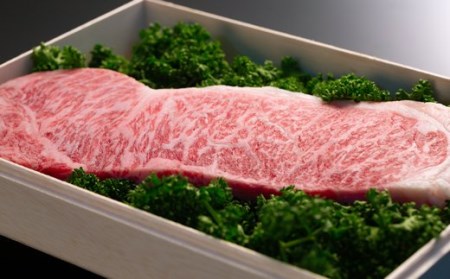 国産和牛 リブロース 460g & サーロイン 200g 黒毛和牛 「三戸・田子牛」