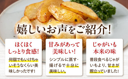 【9月下旬以降順次発送】食べ比べセット 20kg   ( 男爵芋 キタアカリ 各10kg ) じゃがいも [AJAK014]
