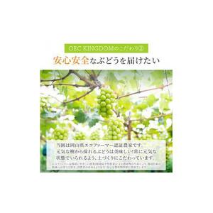 ぶどう 2026年  シャイン マスカット 2房（合計1.3kg以上）【第1回全国ぶどう選手権入賞】｜ シャインマスカット