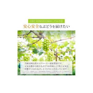 ぶどう 2026年 ［ご家庭用］ シャイン マスカット 2房（合計1kg以上）【第1回全国ぶどう選手権入賞】｜ シャインマスカット
