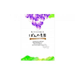 ぶどう 2026年  甲斐ノワール（ぶどう）約800g 農薬散布無し ハウス栽培  ブドウ 葡萄  岡山県産 国産 フルーツ 果物  ばんの農園