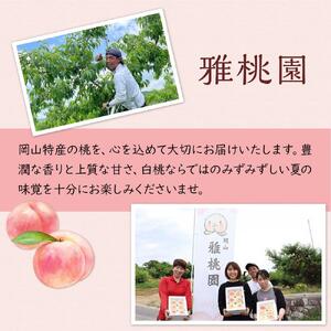 桃 2026年 贈答用 岡山 白桃 5玉～６玉 1.5kg 前後 もも 岡山県産 国産 フルーツ 果物 ギフト 雅桃園