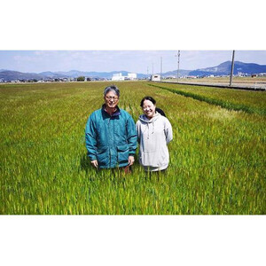 令和7年産 岡山西大寺の幸せ もち麦 (キラリモチ)  数量限定  2kg(500g×4) | 米 米