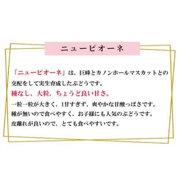 ニュー ピオーネ 約500g×2房 ｜ ピオーネ