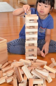 やまがた市の山のつみ木 FY19-502