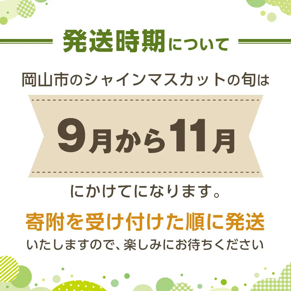 ぶどう 2026年  ご家庭用 シャインマスカット 晴王 約500g×2房 葡萄  岡山県産 国産 フルーツ 果物 | シャインマスカット