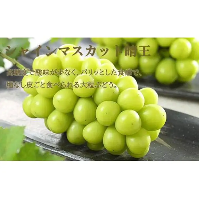 ぶどう 2026年 岡山 白桃 ロイヤル 2玉×約200g（Lサイズ、早生種・中生種） シャインマスカット 晴王 1房約400g 詰め合わせ フルーツ | シャインマスカット