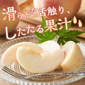 桃 2026年 岡山 白桃 5～6玉入 約1.5kg 岡山市一宮地区産 もも モモ フルーツ 果物 ギフト
