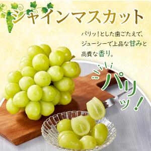 ぶどう 2026年 シャイン マスカット 2房 合計約1kg  種無し ブドウ 葡萄 岡山市産 国産 フルーツ 果物 渡邊農園