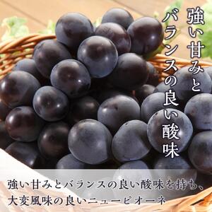桃 ぶどう 2026年  岡山の 果物 詰合せ 岡山 白桃 2玉 ニュー ピオーネ 2房 化粧箱入り岡山県産 国産 フルーツ 果物 ギフト
