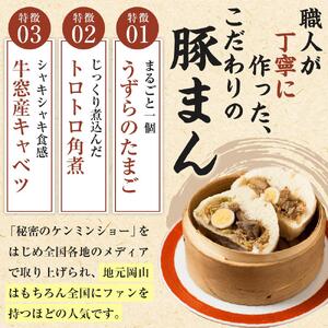 岡山の人気店 山珍(さんちん)の 豚まん 10個入 行列のできる 手作り 豚まん 【配達不可：北海道・沖縄・離島】