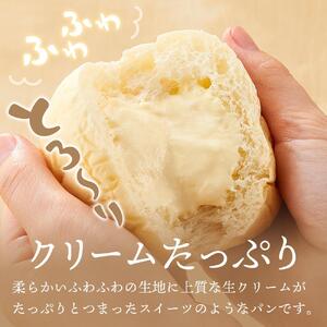 ＜究極のふわとろ食感＞清水屋 生 クリームパン  12個 3種（カスタード・生クリーム・チョコ） | クリームパン