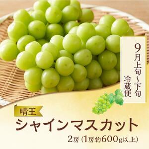 【5回 定期便】フルーツ 肉 2026年  晴れの国 おかやま の 旬のフルーツと A5等級 黒毛 和牛 5回 定期便 ぶどう 牛肉 梨 岡山県産 国産 ギフト