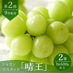 フルーツ 2026年  岡山 白桃 6玉 シャイン マスカット 晴王 2房 を2回に分けてお届け！ 定期便 桃 ぶどう 梨 岡山県産 国産 果物 ギフト