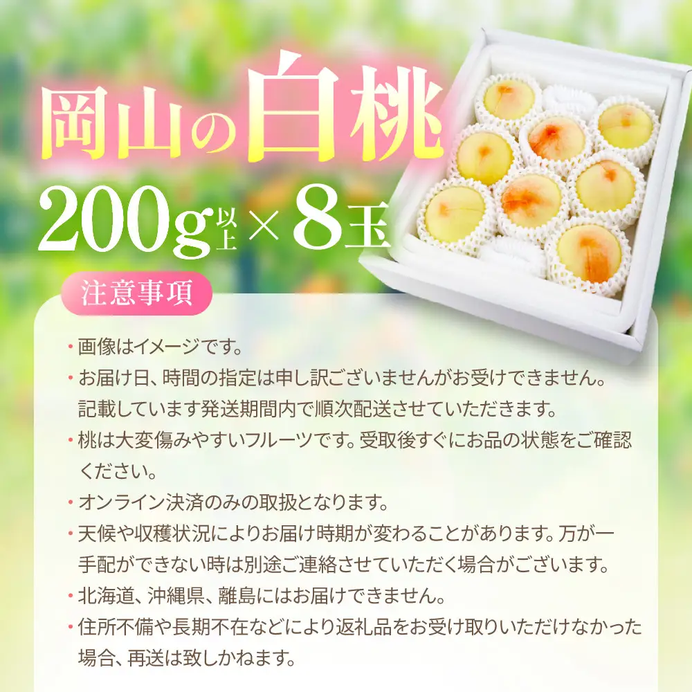 桃 2026年 先行予約 岡山の白桃 200g以上×8玉 | 白桃 旬の桃 みずみずしい桃 晴れの国 おかやま 岡山県産 フルーツ王国 果物王国