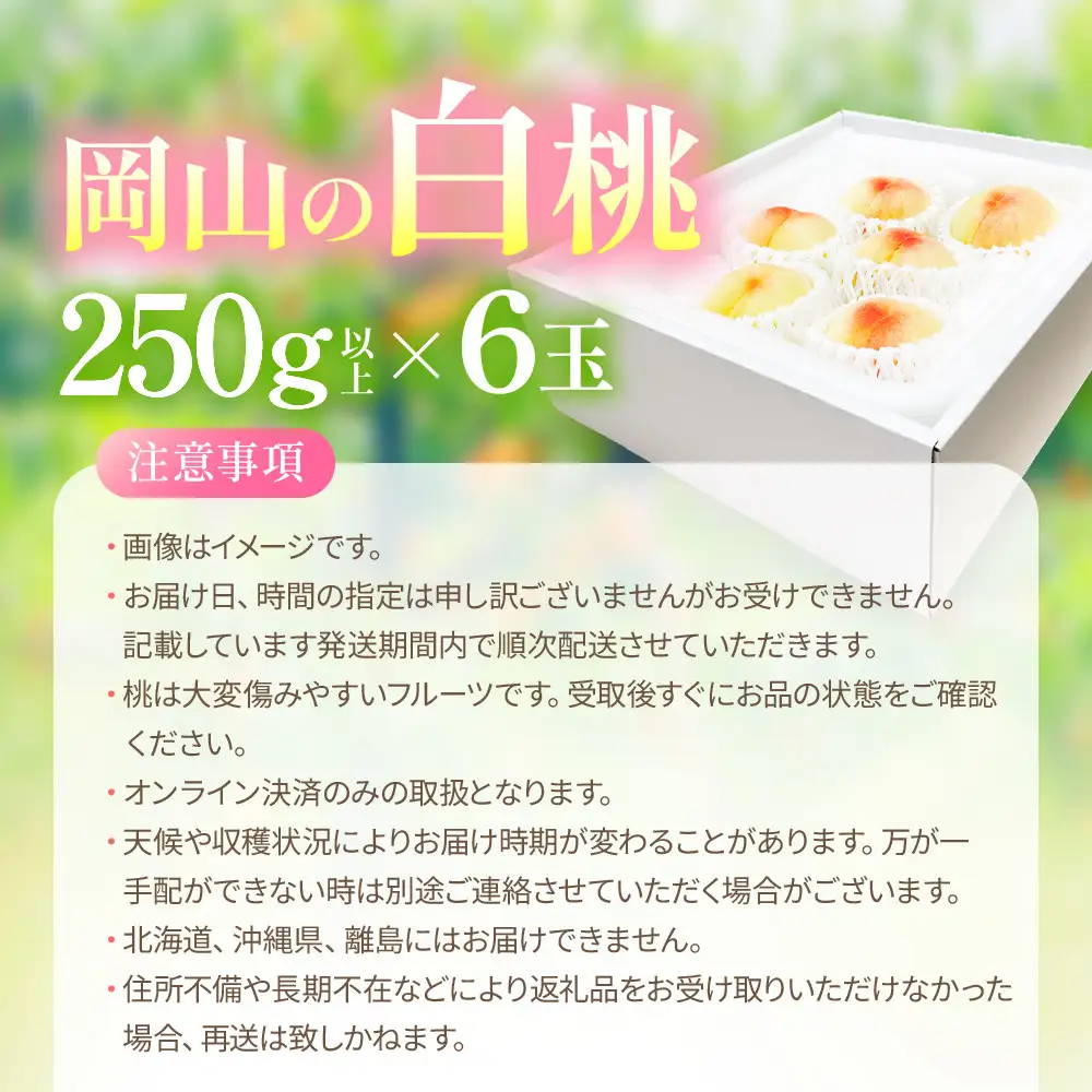 桃 2026年 先行予約 岡山の白桃 250g以上×6玉 | 白桃 旬 みずみずしい 晴れの国 おかやま 岡山県産 フルーツ王国 果物王国
