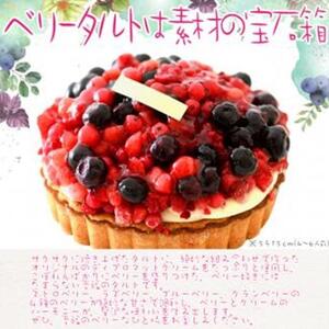 フレッシュタルト 専門店 「STYLE」 ベリー タルト 1個（5号 15cm 860g） 贅沢なサクサク 濃厚 クリーム 極上 デザート