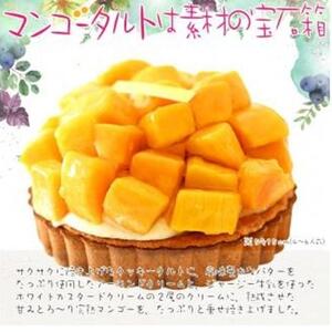 フレッシュタルト 専門店 「STYLE」 マンゴー タルト 1個（5号 15cm 900g） 贅沢なサクサク 濃厚 クリーム 極上 マンゴー デザート