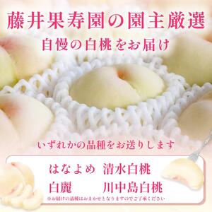 桃 2026年  岡山県産 家庭用 白桃 1kg以上（4～6玉） 品種おまかせ＜6月下旬以降発送＞