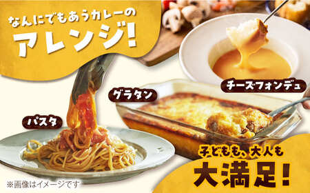 【12回定期便】ごとのカレー4種（各2袋） 五島市 五島市/ごと[PBY032]  カレー カレーライス かれー レトルト 食べ比べ 常温 五島市 定期 定期便セット カレー カレーライス レトルト 常温