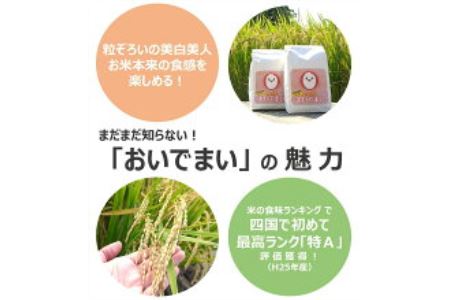 多度津町産 新米 おいでまい【令和7年産新米:11月頃より発送】（白米８kg）【A-11】