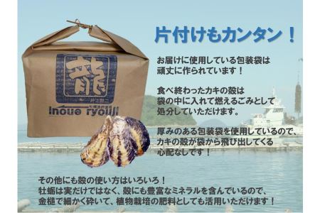 殻付活牡蠣カンカン焼セット 4kg (加熱用)【予約受付中：旬にお届け！2026年2月末頃から期間限定出荷！】【B-7】