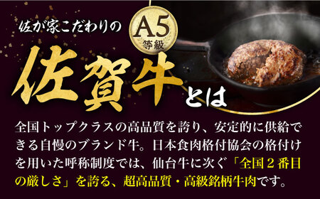 【3回定期便】佐賀牛と若楠三元豚のハンバーグ 食べ比べセット 計4個 /ナチュラルフーズ [UBH082] ハンバーグ