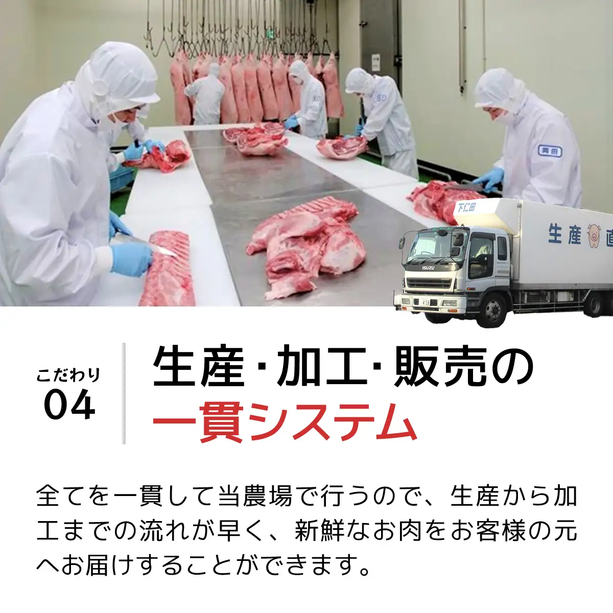 豚もも切り落とし200ｇＸ5 ANT008