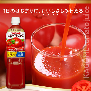 【定期便3ヵ月】カゴメ　トマトジュース食塩無添加　720ml PET×15本 1ケース 毎月届く 3ヵ月 3回コース【 栃木県 那須塩原市 】ns001-005