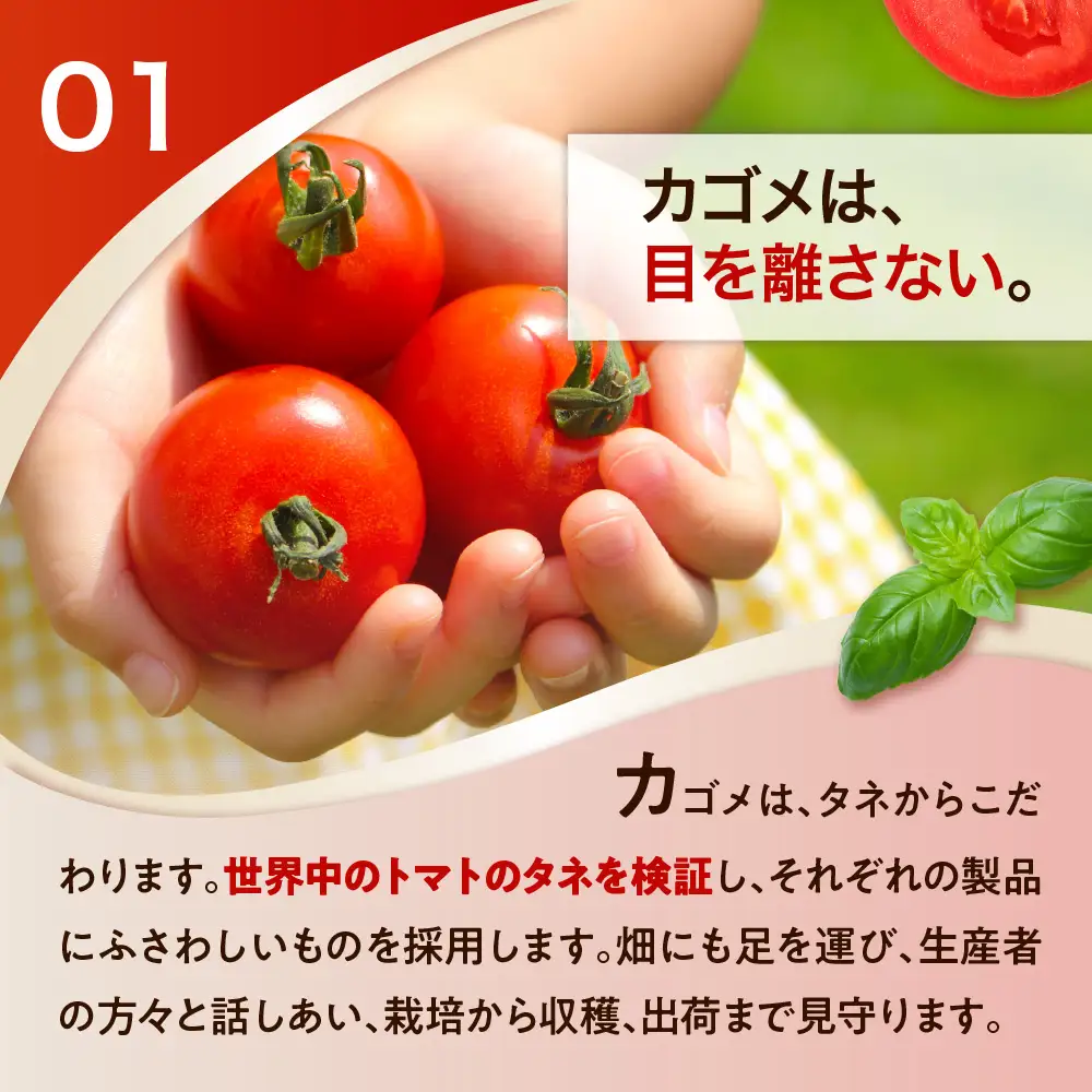 【定期便6ヵ月】カゴメ　トマトジュース食塩無添加　720ml PET×15本 ns001-006