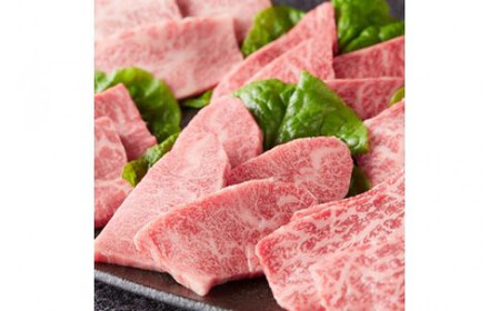 焼肉だんらんお食事券1万円分【 チケット 体験 栃木県 那須塩原市 】  ns052-001